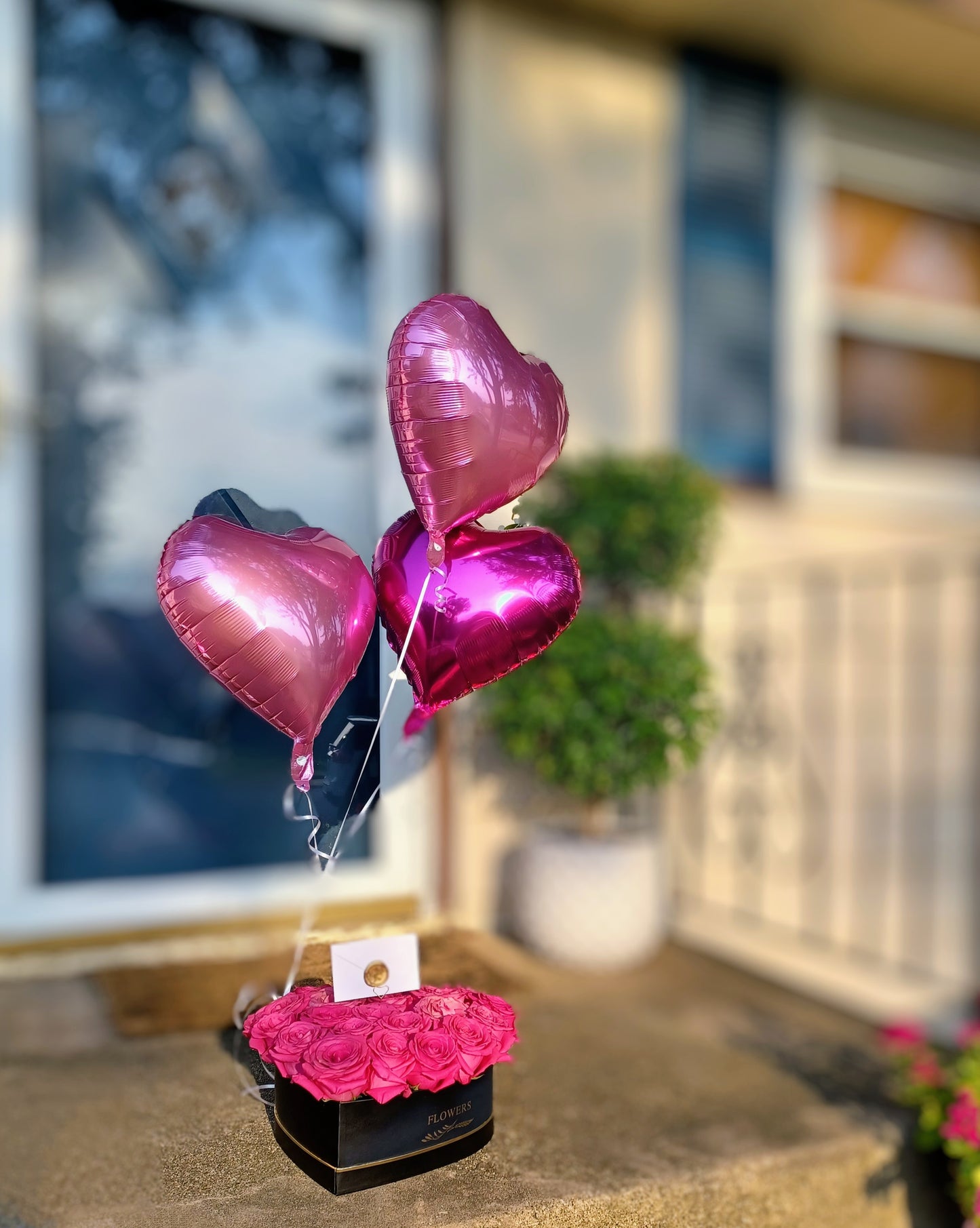 Heart Shaped Balloon